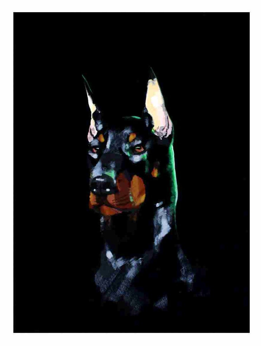 Posters - Dobermann
